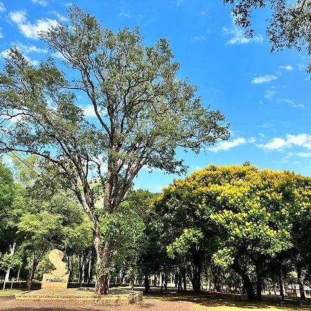 Parque Hotel Manantial Hohenau Dış mekan fotoğraf