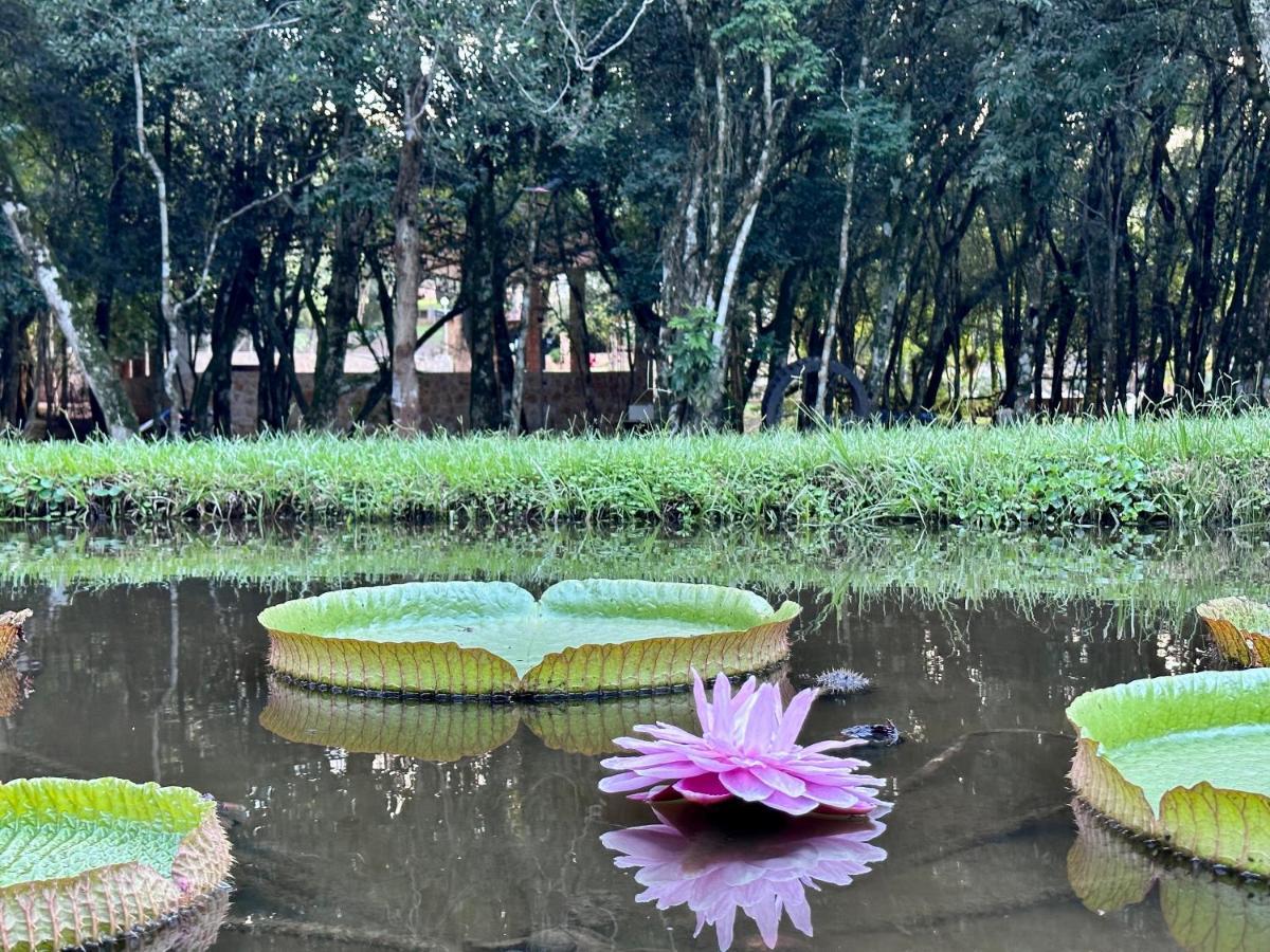 Parque Hotel Manantial Hohenau Dış mekan fotoğraf
