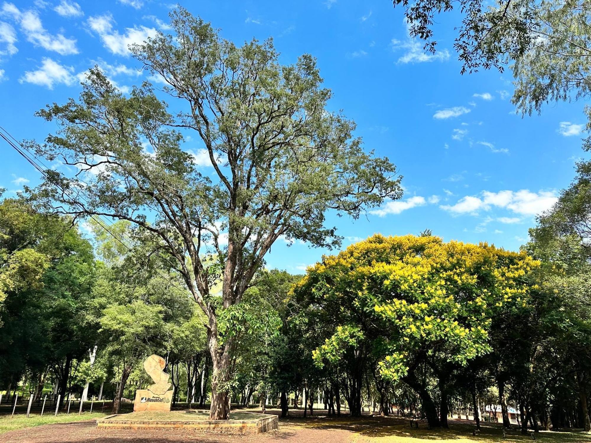 Parque Hotel Manantial Hohenau Dış mekan fotoğraf
