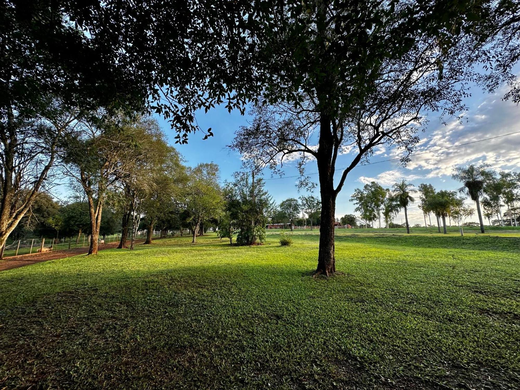 Parque Hotel Manantial Hohenau Dış mekan fotoğraf