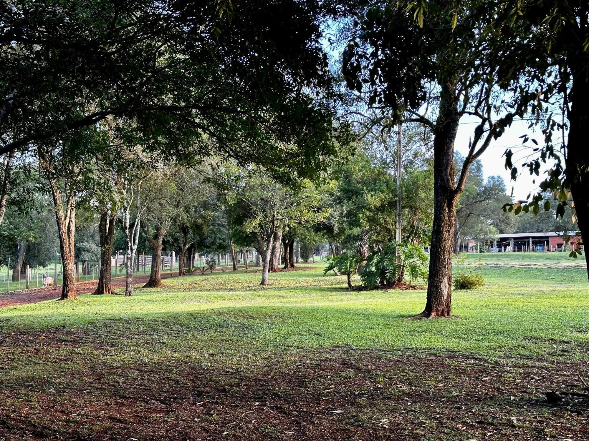 Parque Hotel Manantial Hohenau Dış mekan fotoğraf