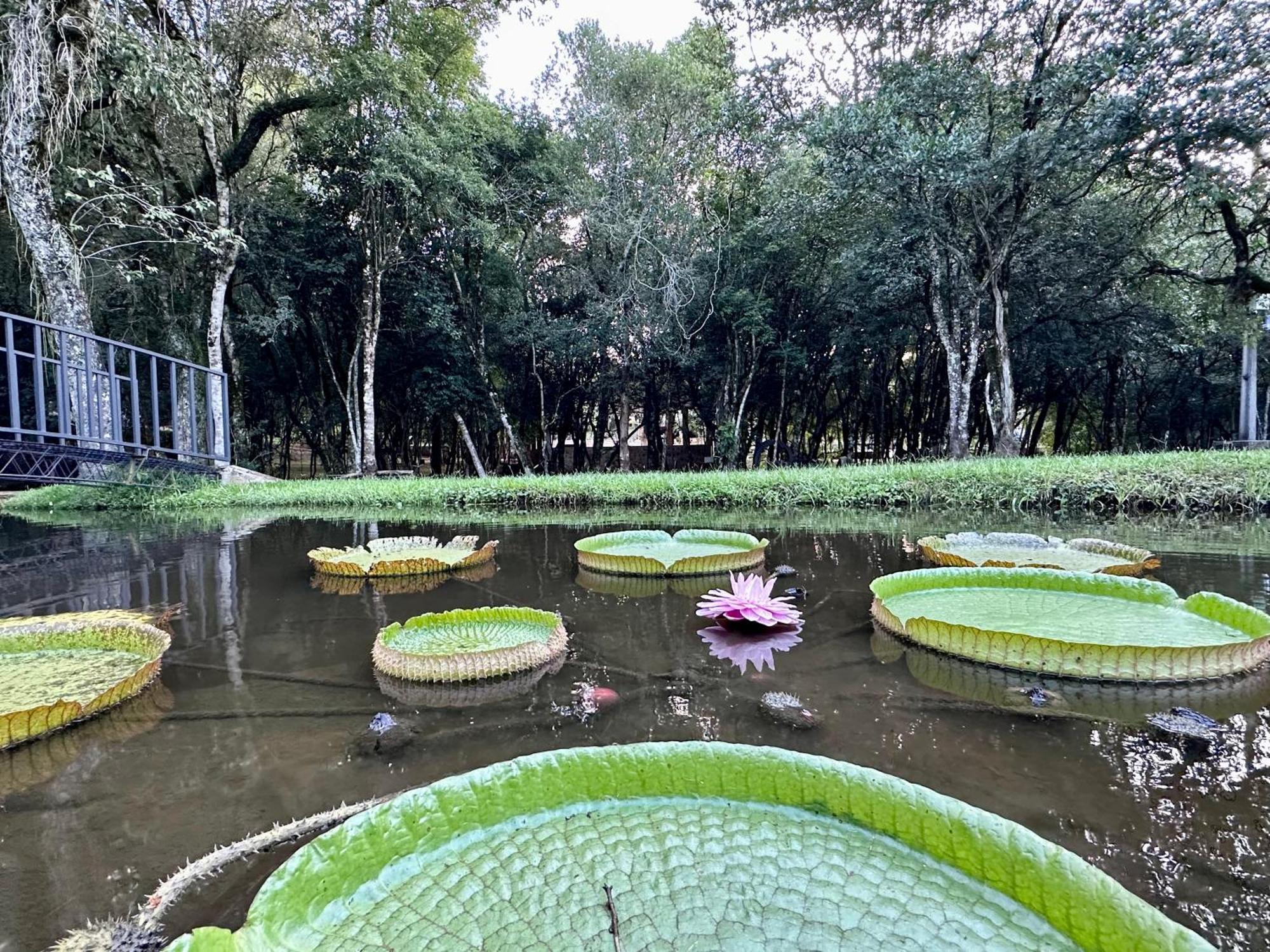 Parque Hotel Manantial Hohenau Dış mekan fotoğraf