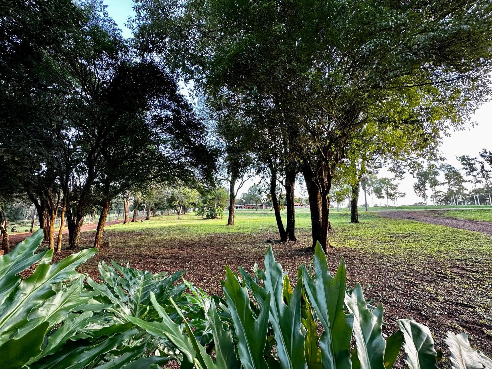 Parque Hotel Manantial Hohenau Dış mekan fotoğraf